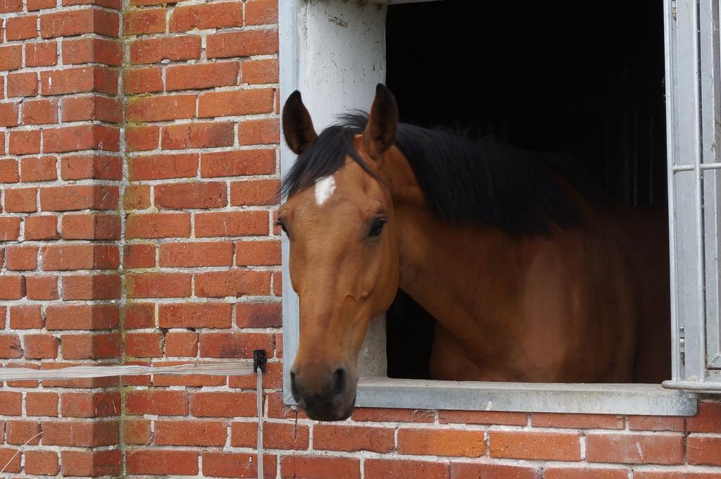 Ferienhof Seelust Gammendorf Exterior foto